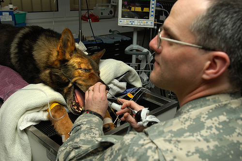 Top Paying Careers In 2013