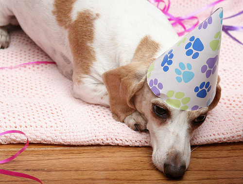 How Much Should I Drink? The Employee's Party Guide